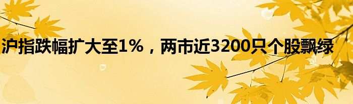 沪指跌幅扩大至1%，两市近3200只个股飘绿