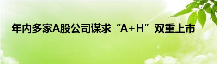 年内多家A股公司谋求“A+H”双重上市