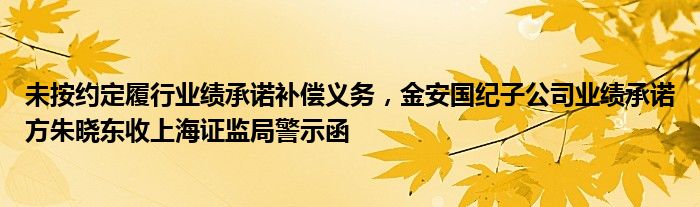 未按约定履行业绩承诺补偿义务，金安国纪子公司业绩承诺方朱晓东收上海证监局警示函