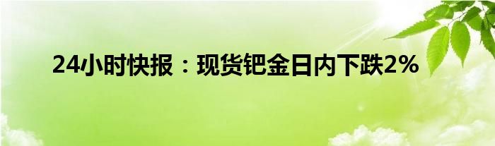 24小时快报：现货钯金日内下跌2%