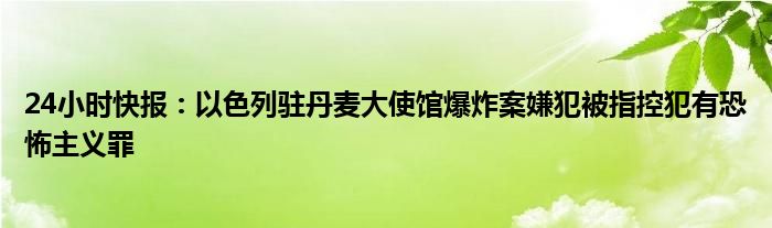 24小时快报：以色列驻丹麦大使馆爆炸案嫌犯被指控犯有恐怖主义罪