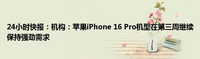 24小时快报：机构：苹果iPhone 16 Pro机型在第三周继续保持强劲需求