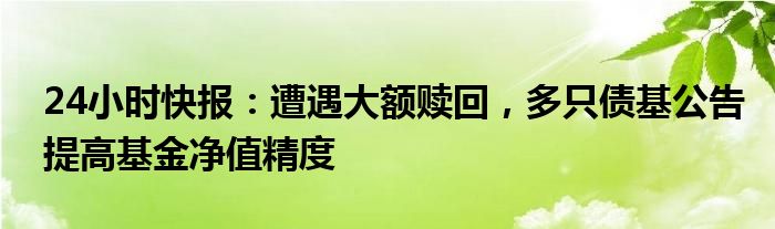 24小时快报：遭遇大额赎回，多只债基公告提高基金净值精度