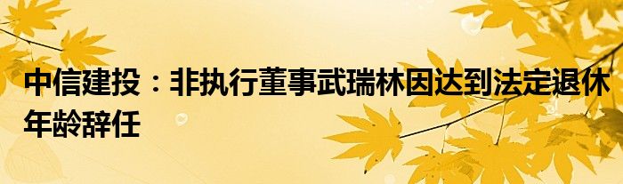 中信建投：非执行董事武瑞林因达到法定退休年龄辞任