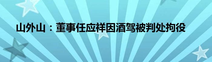 山外山：董事任应祥因酒驾被判处拘役