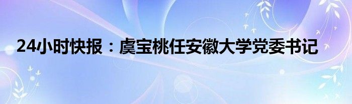 24小时快报：虞宝桃任安徽大学党委书记