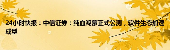 24小时快报：中信证券：纯血鸿蒙正式公测，软件生态加速成型