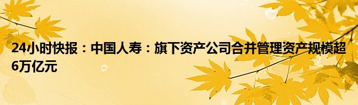 24小时快报：中国人寿：旗下资产公司合并管理资产规模超6万亿元