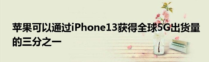 苹果可以通过iPhone13获得全球5G出货量的三分之一