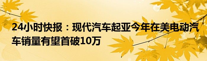 24小时快报：现代汽车起亚今年在美电动汽车销量有望首破10万