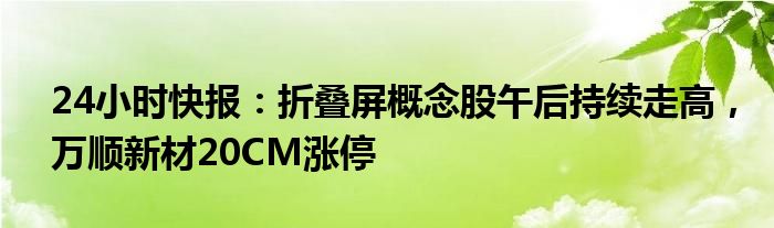 24小时快报：折叠屏概念股午后持续走高，万顺新材20CM涨停