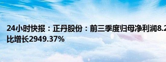 24小时快报：正丹股份：前三季度归母净利润8.25亿元，同比增长2949.37%