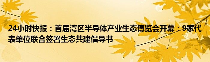 24小时快报：首届湾区半导体产业生态博览会开幕：9家代表单位联合签署生态共建倡导书