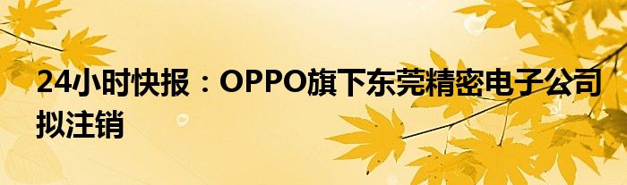 24小时快报：OPPO旗下东莞精密电子公司拟注销