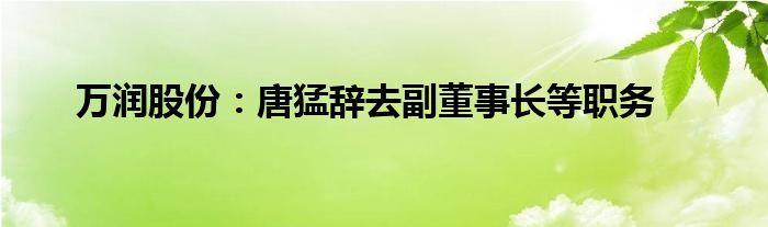 万润股份：唐猛辞去副董事长等职务