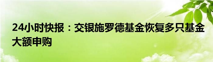 24小时快报：交银施罗德基金恢复多只基金大额申购