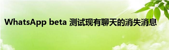 WhatsApp beta 测试现有聊天的消失消息