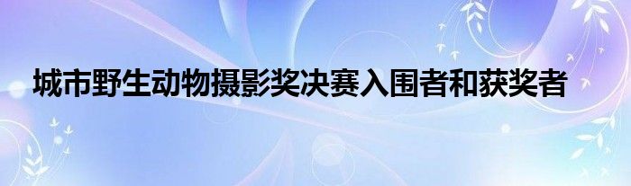 城市野生动物摄影奖决赛入围者和获奖者