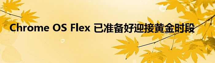 Chrome OS Flex 已准备好迎接黄金时段