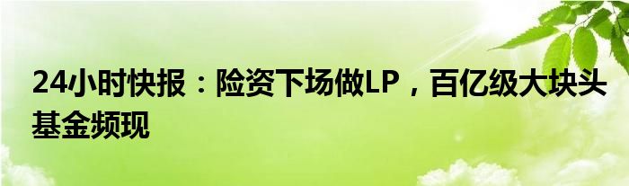 24小时快报：险资下场做LP，百亿级大块头基金频现