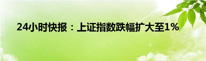 24小时快报：上证指数跌幅扩大至1%