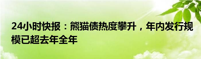 24小时快报：熊猫债热度攀升，年内发行规模已超去年全年