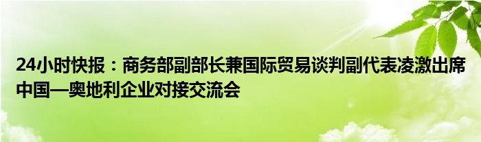 24小时快报：商务部副部长兼国际贸易谈判副代表凌激出席中国—奥地利企业对接交流会