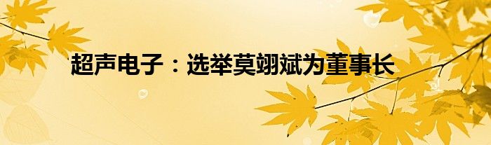 超声电子：选举莫翊斌为董事长