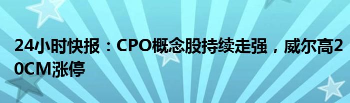 24小时快报：CPO概念股持续走强，威尔高20CM涨停