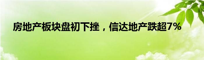 房地产板块盘初下挫，信达地产跌超7%