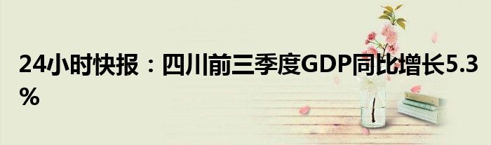 24小时快报：四川前三季度GDP同比增长5.3%