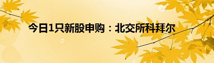 今日1只新股申购：北交所科拜尔