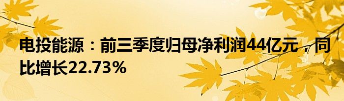 电投能源：前三季度归母净利润44亿元，同比增长22.73%