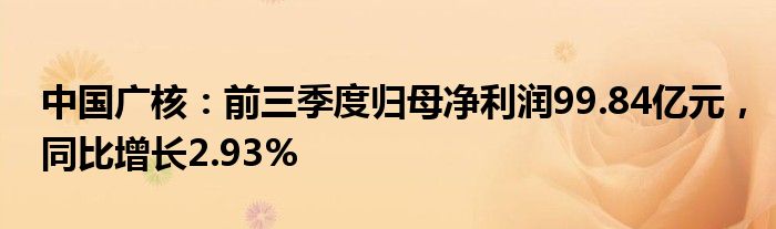 中国广核：前三季度归母净利润99.84亿元，同比增长2.93%