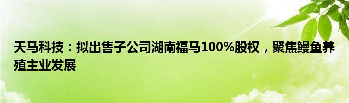 天马科技：拟出售子公司湖南福马100%股权，聚焦鳗鱼养殖主业发展