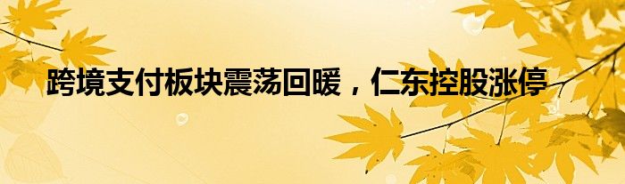 跨境支付板块震荡回暖，仁东控股涨停