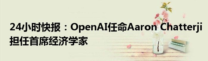 24小时快报：OpenAI任命Aaron Chatterji担任首席经济学家