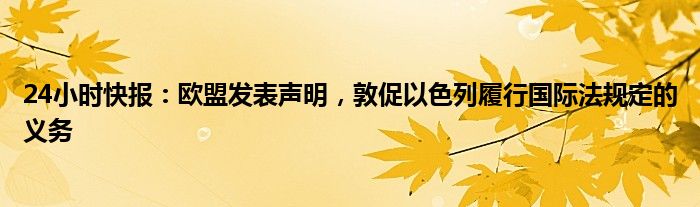 24小时快报：欧盟发表声明，敦促以色列履行国际法规定的义务