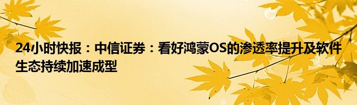 24小时快报：中信证券：看好鸿蒙OS的渗透率提升及软件生态持续加速成型