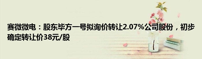 赛微微电：股东毕方一号拟询价转让2.07%公司股份，初步确定转让价38元/股