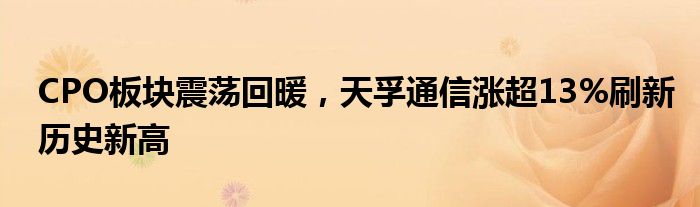 CPO板块震荡回暖，天孚通信涨超13%刷新历史新高