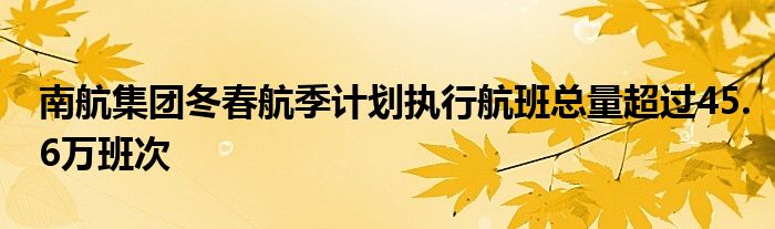 南航集团冬春航季计划执行航班总量超过45.6万班次