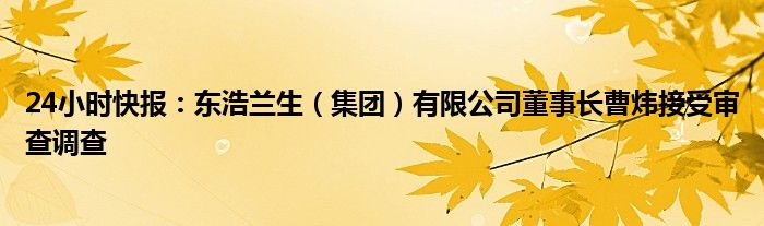 24小时快报：东浩兰生（集团）有限公司董事长曹炜接受审查调查