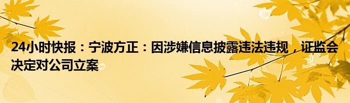 24小时快报：宁波方正：因涉嫌信息披露违法违规，证监会决定对公司立案