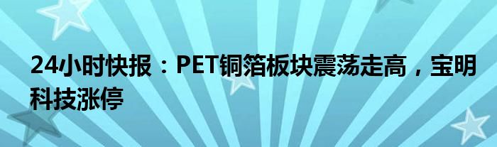 24小时快报：PET铜箔板块震荡走高，宝明科技涨停