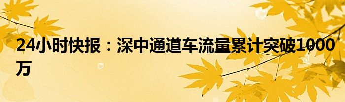 24小时快报：深中通道车流量累计突破1000万