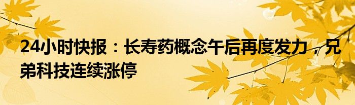 24小时快报：长寿药概念午后再度发力，兄弟科技连续涨停