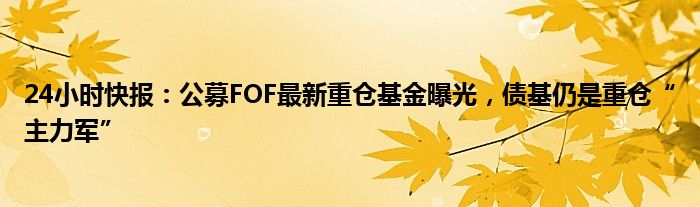 24小时快报：公募FOF最新重仓基金曝光，债基仍是重仓“主力军”