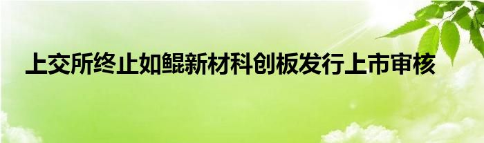 上交所终止如鲲新材科创板发行上市审核