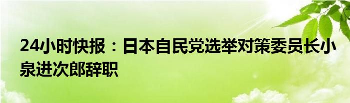 24小时快报：日本自民党选举对策委员长小泉进次郎辞职